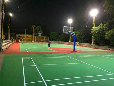 佛山樂從羅沙村委文明村建設